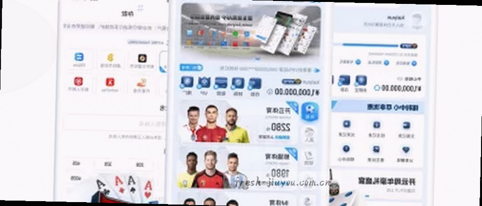 隐私政策与数据说明